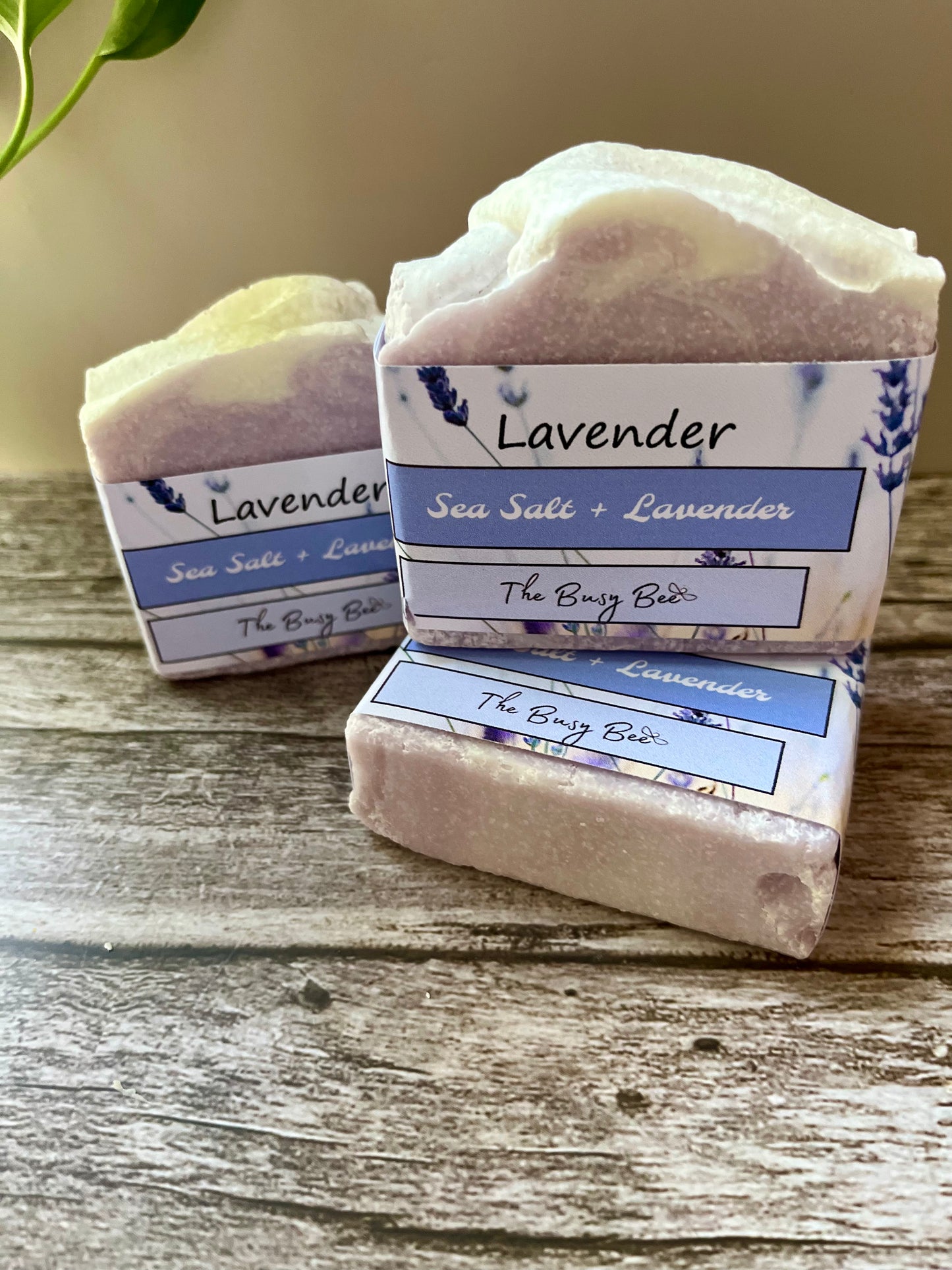 Salted Lavender